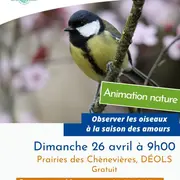 Balade nature sur les prairies des Chènevières « Observer les oiseaux à la saison des amours»