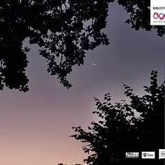 Balade nocturne