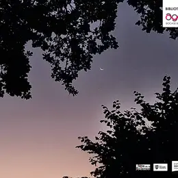 Balade nocturne