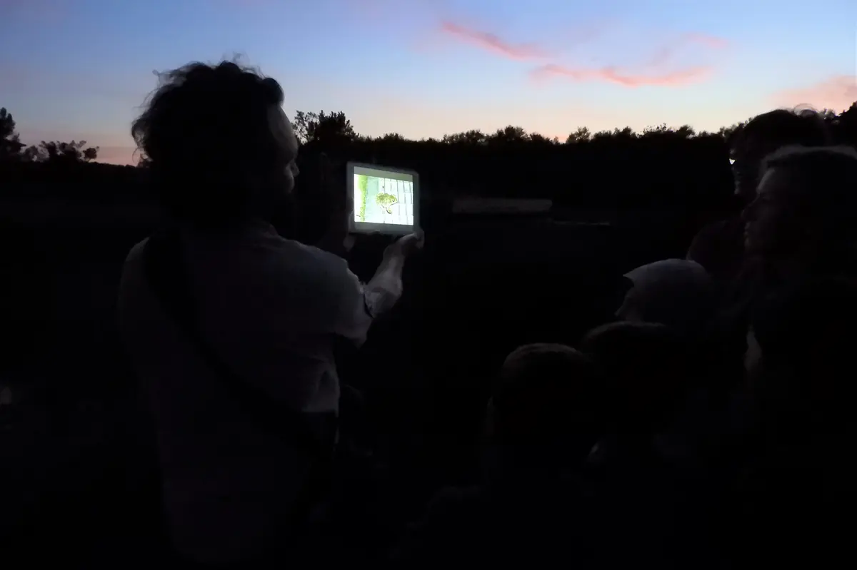 Balade nocturne