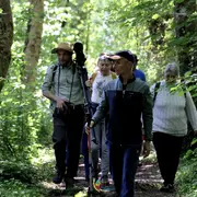 Balade nocturne au bord de l'Adour