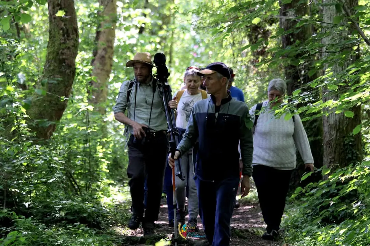 Balade nocturne aux Saligues de Prentigarde