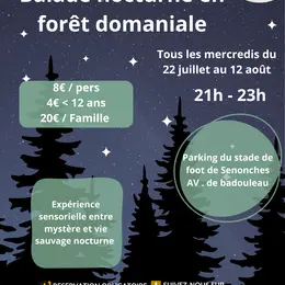 Balade nocturne en forêt domaniale de Senonches