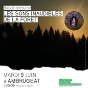 Balade nocturne : les sons inaudibles de la forêt