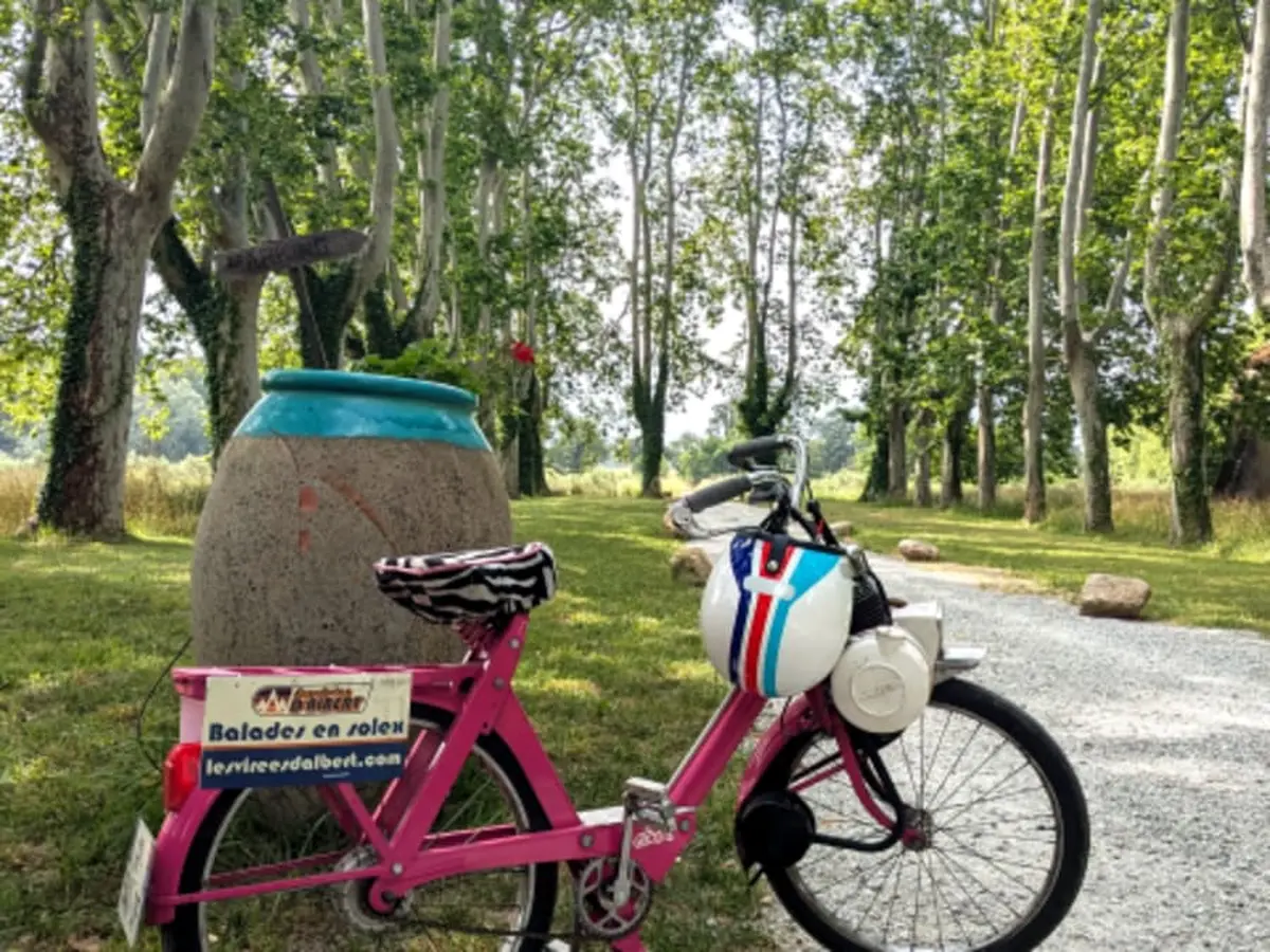 Balade œnologique en Solex à Argelès-sur-Mer (66)