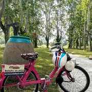 Balade œnologique en Solex à Argelès-sur-Mer (66)