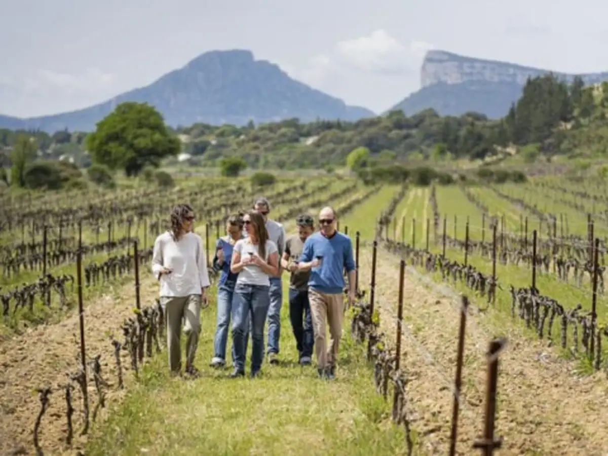 Balade œnotouristique dans la vallée du Pic Saint-Loup (34)