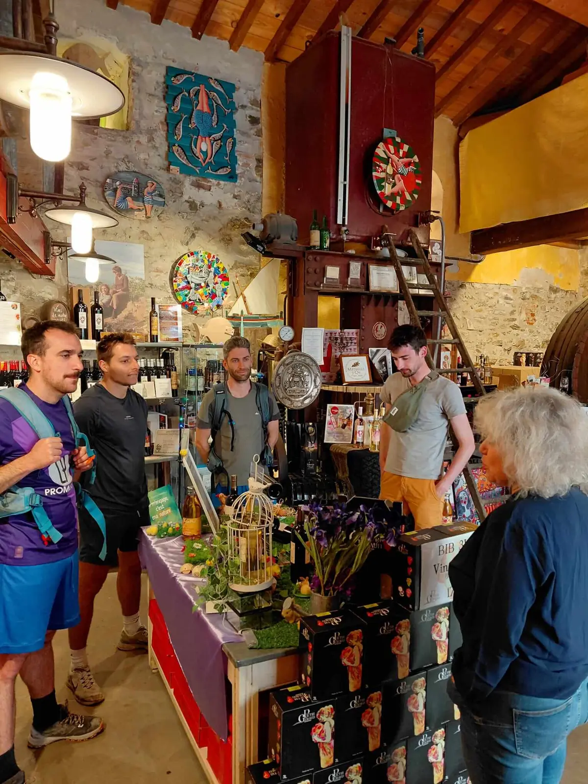Balade Oenotouristique En Vtt électrique à Collioure