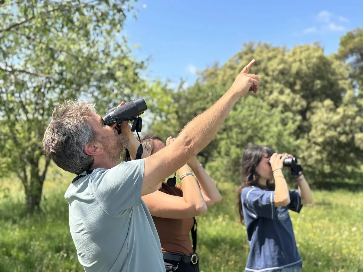 Balade ornithologique