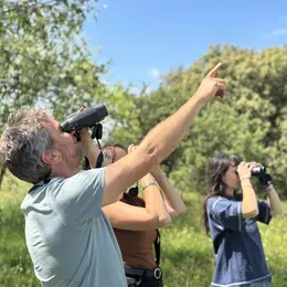 Balade ornithologique