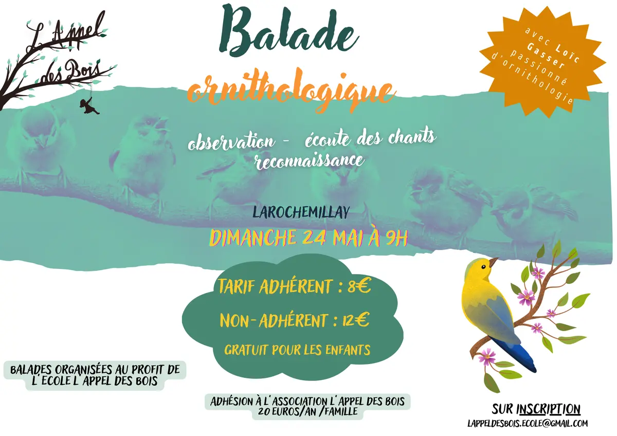 Balade ornithologique