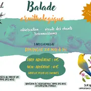 Balade ornithologique
