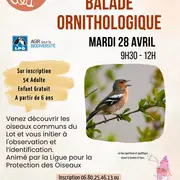 Balade ornithologique au 3ème Lieu