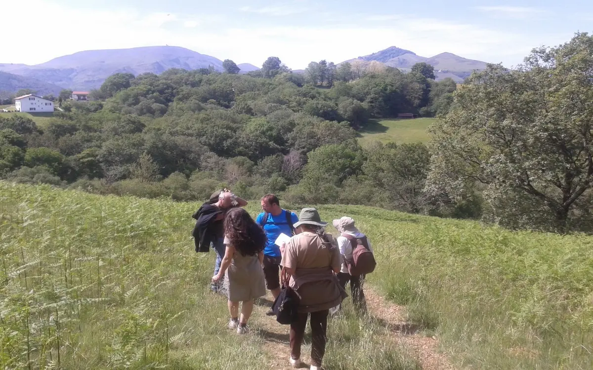 Balade Papillons, libellules, petits pollinisateurs