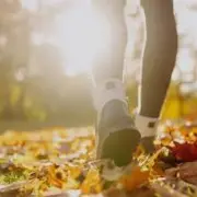 Balade patrimoine artisanal et commercial - bourg de Fenioux