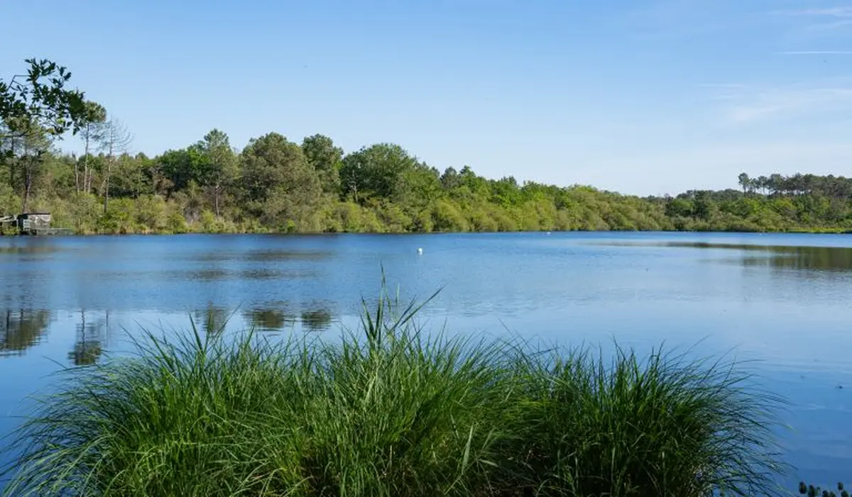 Balade Pédestre guidée