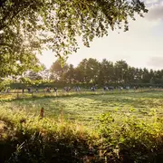 Balade pédestre Mortainaise en soirée