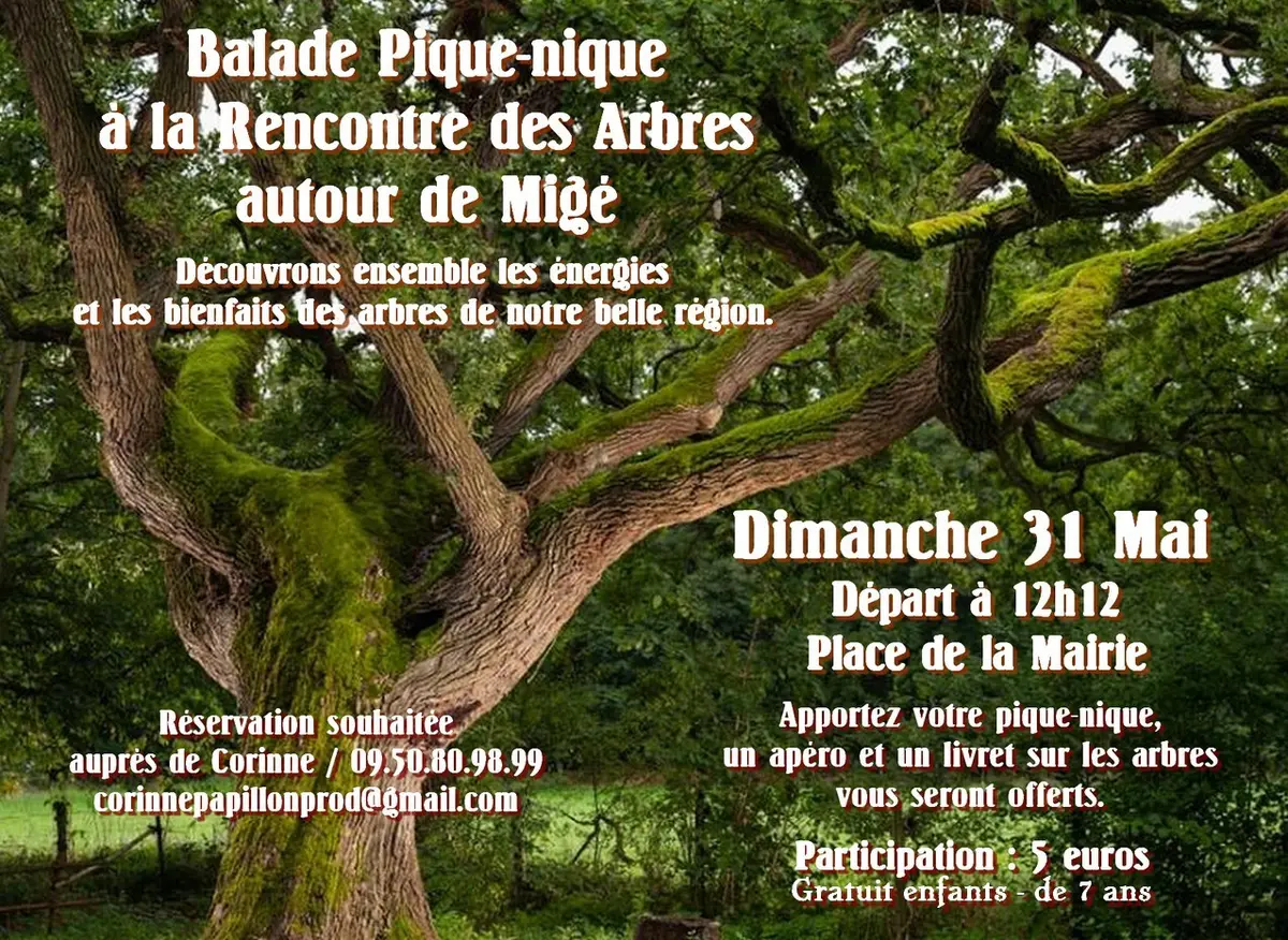 Balade Pique-nique à la rencontre des Arbres à Migé
