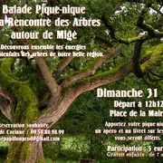 Balade Pique-nique à la rencontre des Arbres à Migé