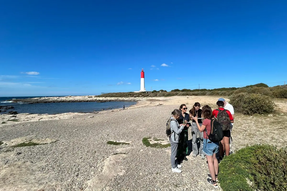 Balade plantes sauvages comestibles et médicinales du littoral