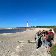 Balade plantes sauvages comestibles et médicinales du littoral