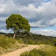 Balade Pour Tous Autour De Soumont