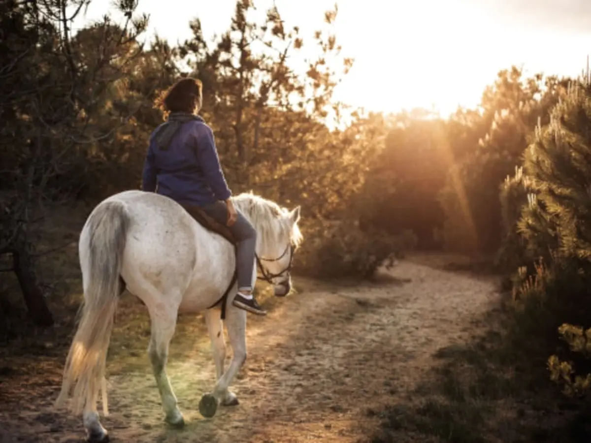 Balade privée à cheval à l'Ile d'Yeu (85)