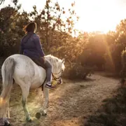 Balade privée à cheval à l'Ile d'Yeu (85)