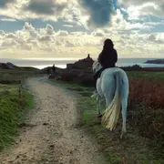 Balade privée à cheval et apéro à l'Ile d'Yeu (85)