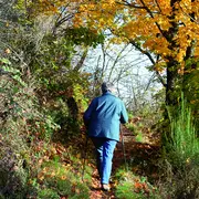 Escapade à Thann, autour du Vignoble du Rangen
