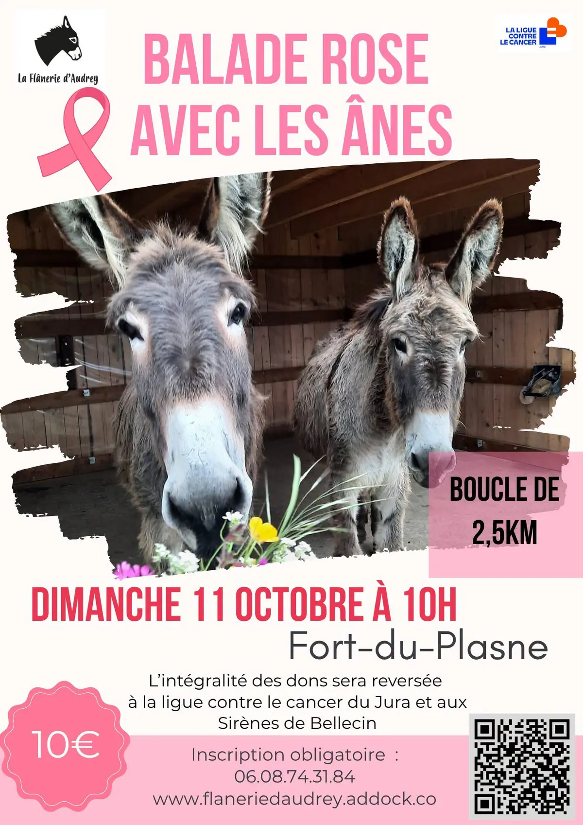 Balade rose avec les ânes