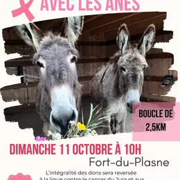Balade rose avec les ânes