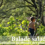 Balade salade – Initiation au monde des plantes