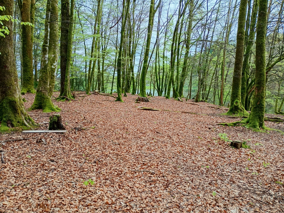 Balade sensorielle, en toute détente, au rythme de la sophrologie.