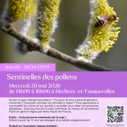 BALADE- Sentinelle des Pollens