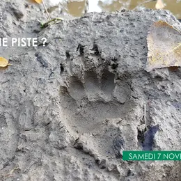 Balade – Sur La Bonne Piste ?