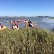 Balade sur le delta de la Leyre en canoé collectif