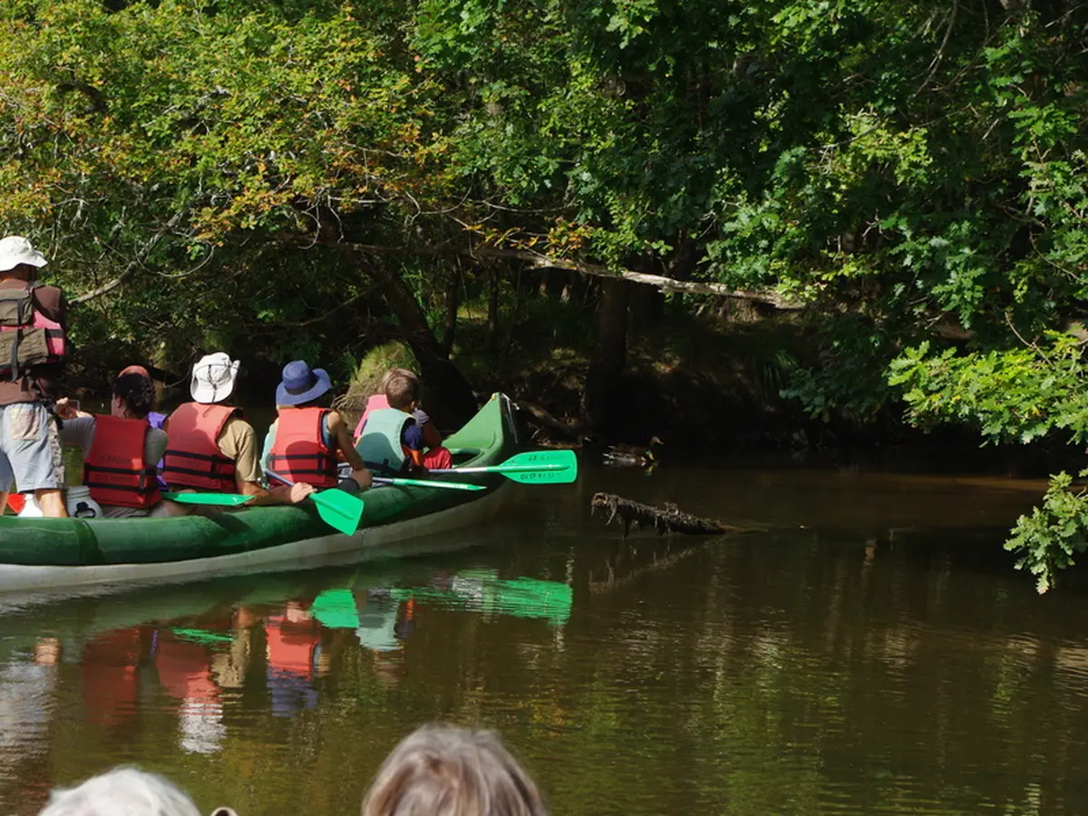 Balade sur le delta de la Leyre en canoë collectif entre Audenge et Biganos