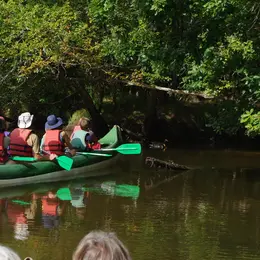 Balade sur le delta de la Leyre en canoë collectif entre Audenge et Biganos