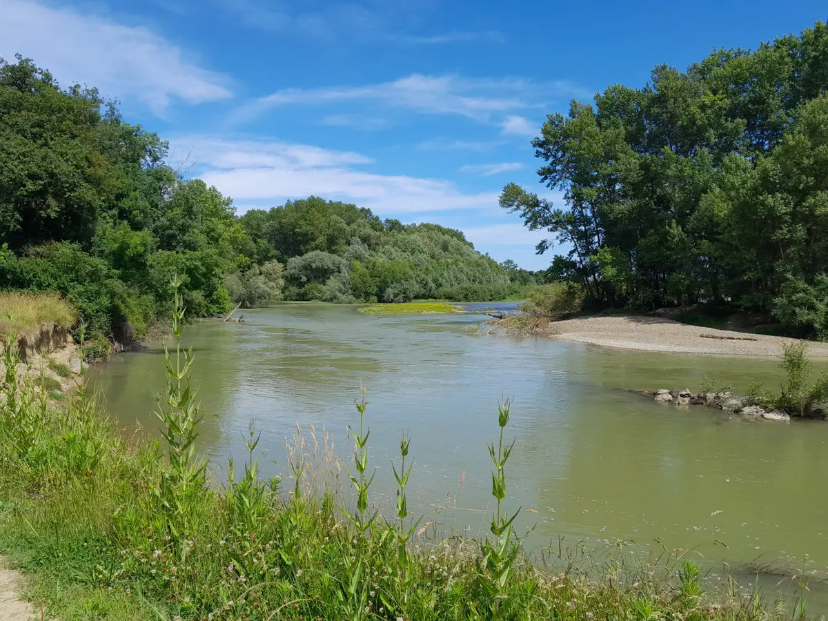 Balade sur le sentier de l'Adour entre Bordères et Lamensans et Grenade sur l'Adour