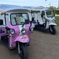 Balade "Tr&eacute;sors de la Loire" en TukTuk &agrave; Angers (49)
