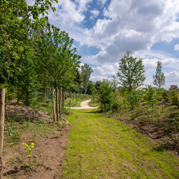 Balade urbaine de la Ferme de Charonne au Bois de Charonne