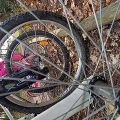 Balade vélo gourmande à Montoire-sur-le Loir