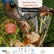 Balade Vélo-Sandwich - Châtellerault  Ingrandes