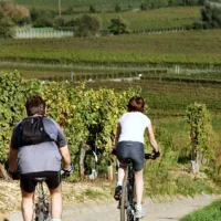 Sur des pistes cyclables ou sur les petits chemins, l'Alsace se prête à toutes les pratiques du vélo &copy; Sébastien Maurer - fotolia.com
