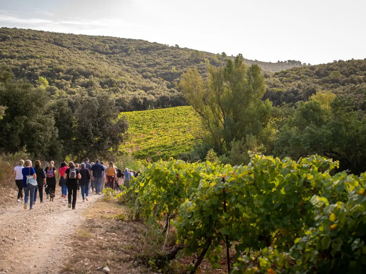 Balade Vigneronne