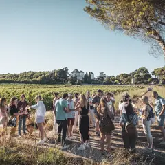 Balade Vigneronne Au Château La Négly