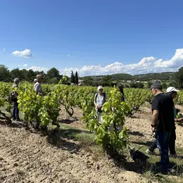 Balade vigneronne au coeur des vignes