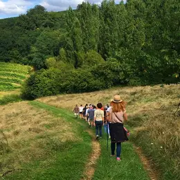 Balade vigneronne : Domaine Larroudé