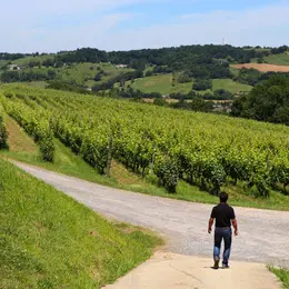 Balade vigneronne : Domaine Montesquiou